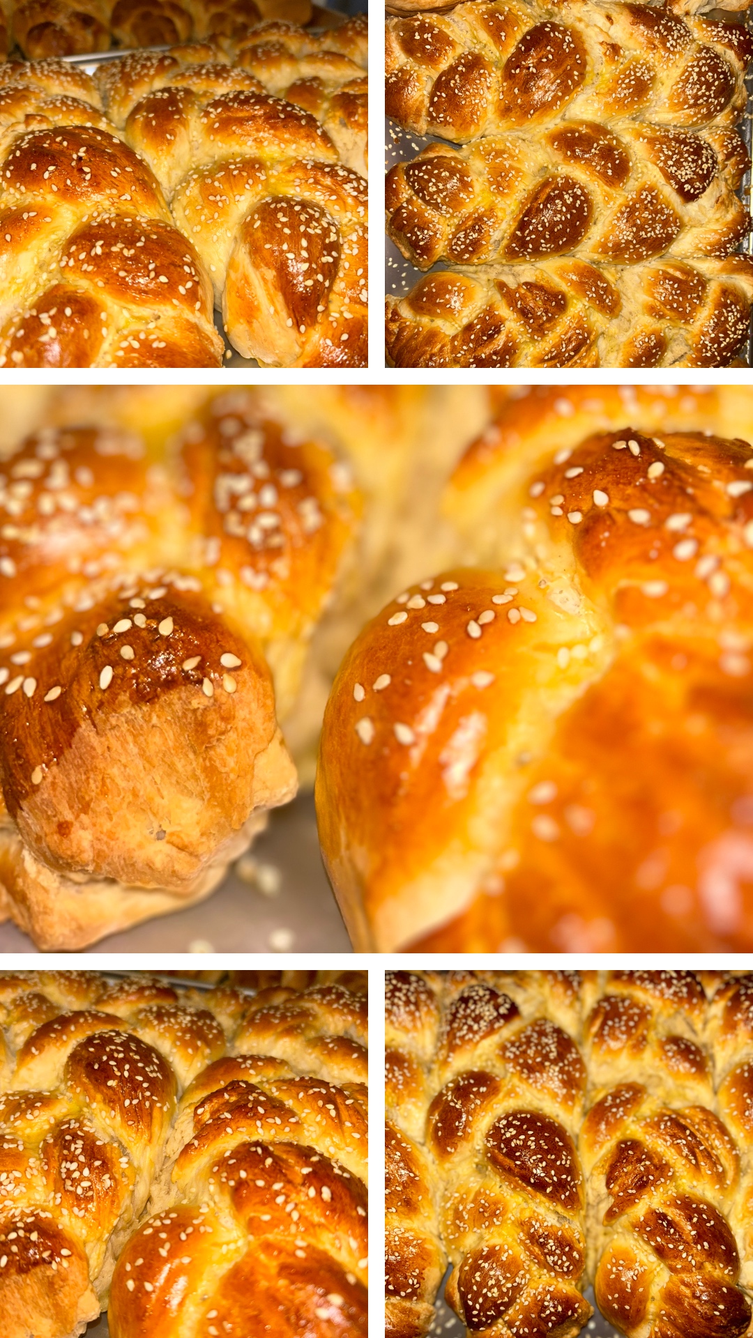 Two fresh sesame-topped braided challahs cooling on a rack